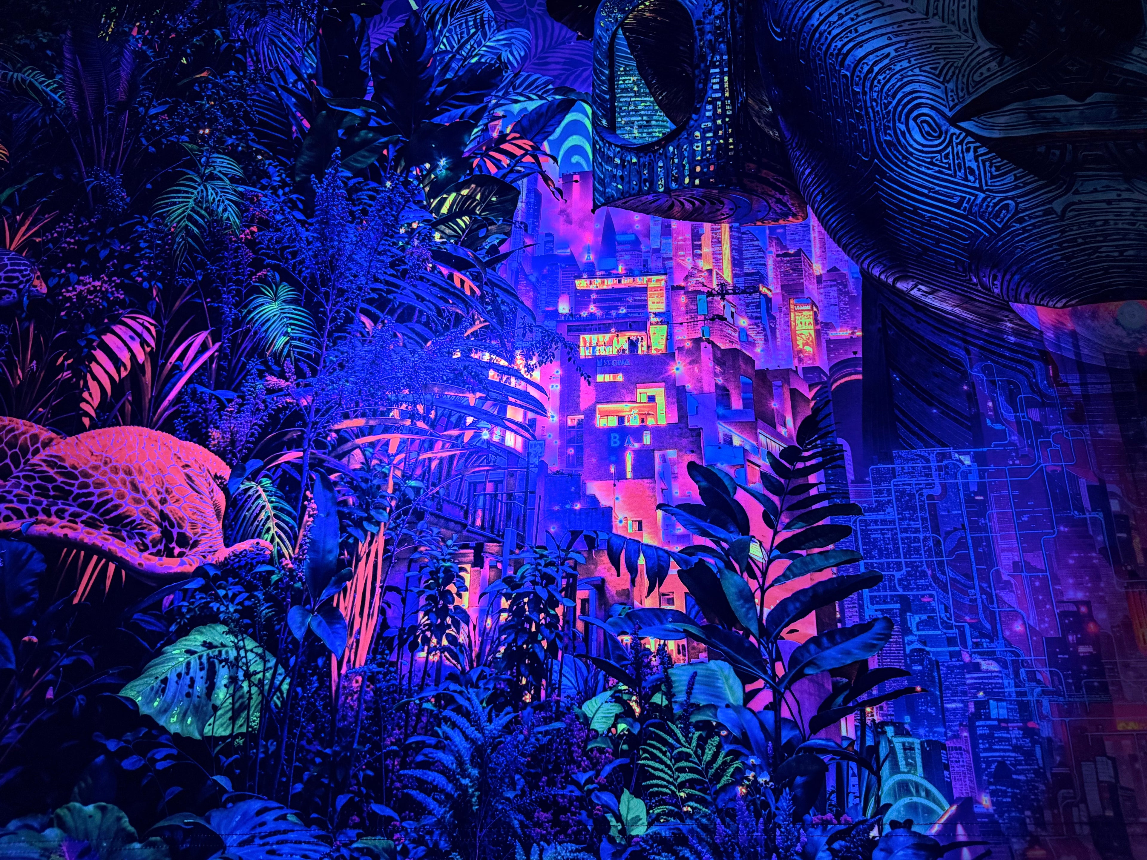‘Re-Evolution’ Backdrop(UV Reactive)