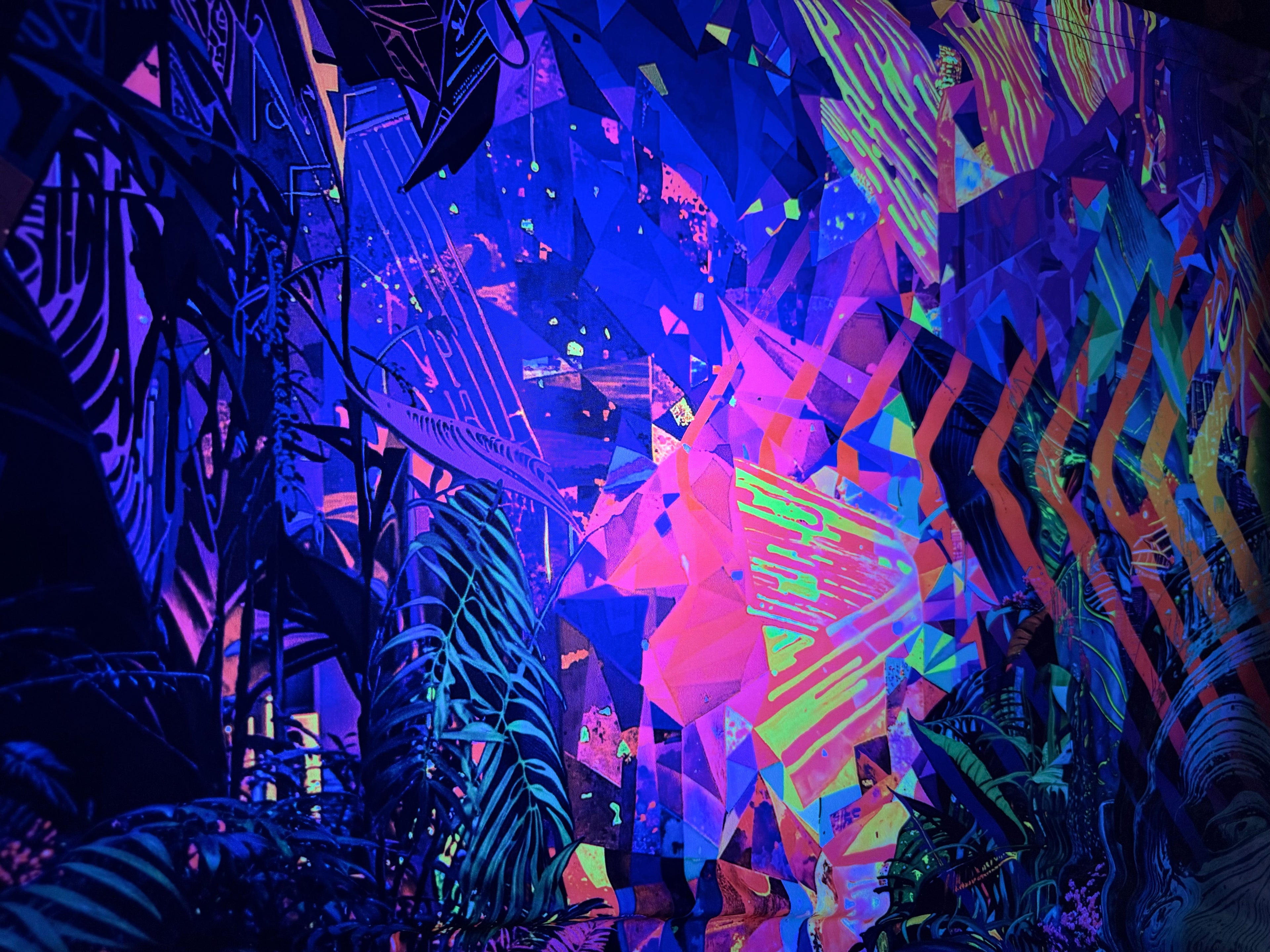 ‘Re-Evolution’ Backdrop(UV Reactive)